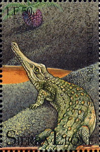 Steneosaurus