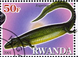 http://biostamps.narod.ru/worldlist/rwanda/rwanda_2001_pre/rwanda_2001_pre_ms2_XX10_H200.jpg